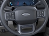 2025 Ford F-350 Super Duty PLATINUM 4WD CREW CAB 8