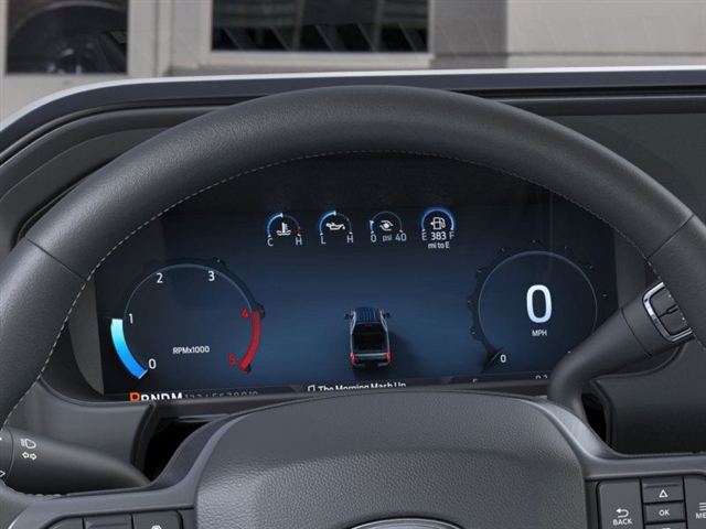 2025 Ford F-350 Super Duty PLATINUM 4WD CREW CAB 8