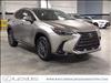 2025 Lexus NX 350