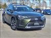 2022 Lexus UX 250h