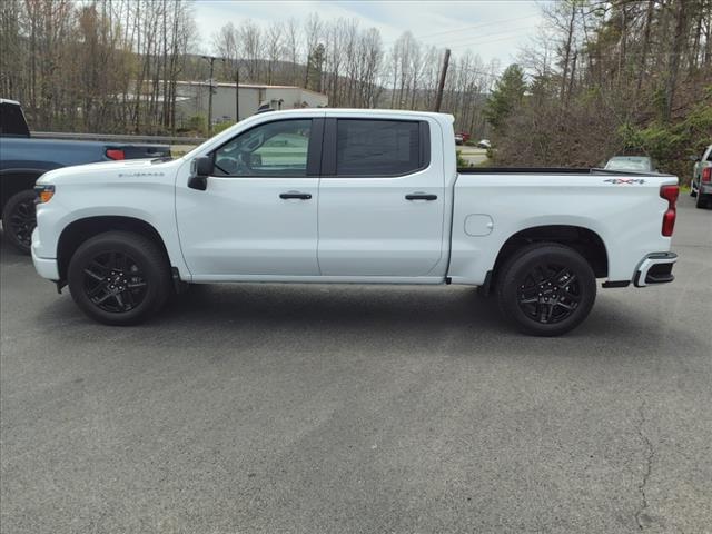 2025 Chevrolet Silverado 1500 Custom - Photo 3