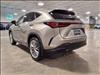 2025 Lexus NX 350 350 Luxury