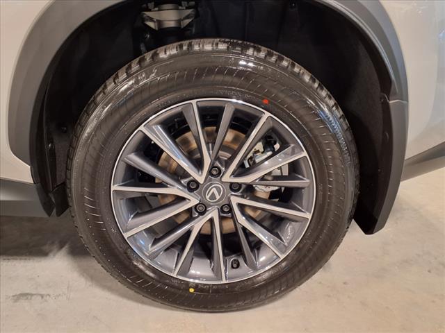 2025 Lexus NX 350 350 Base