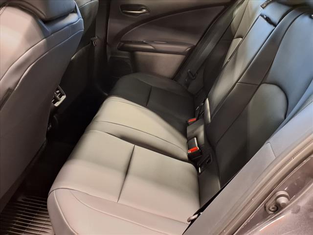 2025 Lexus UX 300h 
