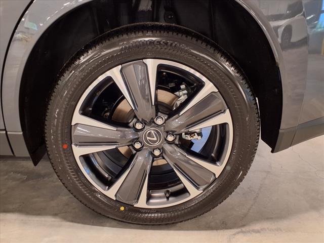 2025 Lexus UX 300h 