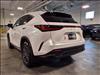 2025 Lexus NX 350 350 Base
