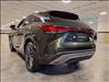 2025 Lexus RX 350 350