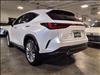 2025 Lexus NX 350 350 Luxury