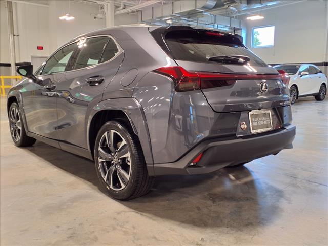 2025 Lexus UX 300h 