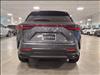 2025 Lexus NX 350 350 Premium