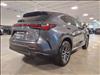 2025 Lexus NX 350 350 Premium