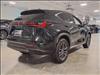 2025 Lexus NX 350h 350h Luxury