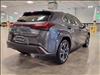 2025 Lexus UX 300h 