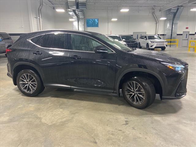 2022 Lexus NX 350 Base