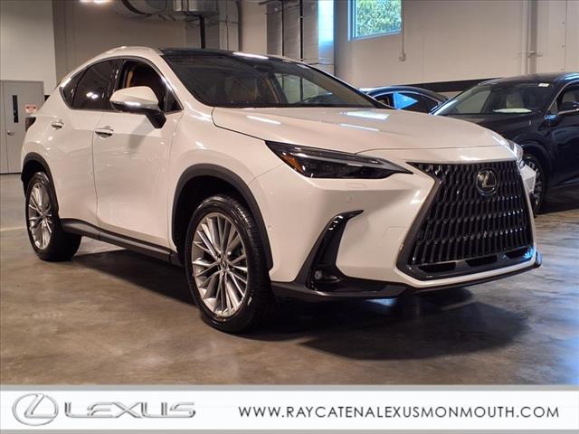 2025 Lexus NX 350 350 Luxury
