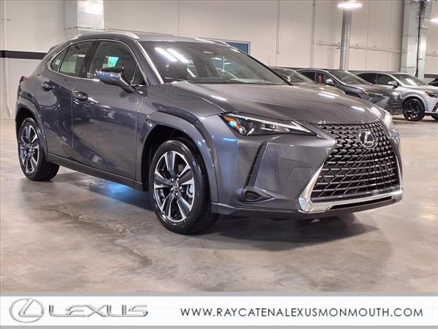 2025 Lexus UX 300h 