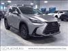 2025 Lexus NX 250