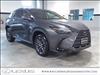 2025 Lexus NX 350