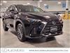 2025 Lexus NX 350