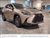 2025 Lexus NX 350 350 Base