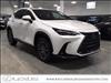 2025 Lexus NX 350h