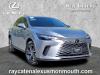 2023 Lexus RX 350h Premium