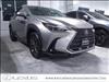 2025 Lexus NX 250