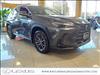 2025 Lexus NX 350