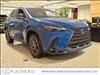 2025 Lexus NX 350