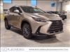 2025 Lexus NX 350