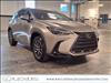 2025 Lexus NX 350h