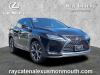 2022 Lexus RX 350 Premium Package