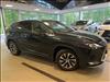 2022 Lexus RX 350 Premium Package