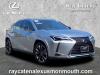 2023 Lexus UX 250h Premium