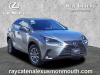 2021 Lexus NX 300