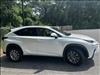 2021 Lexus NX 300 Heated & Ventilated Seat Pkg