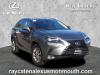 2021 Lexus NX 300