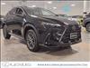 2025 Lexus NX 350h 350h Luxury