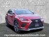 2021 Lexus NX 300