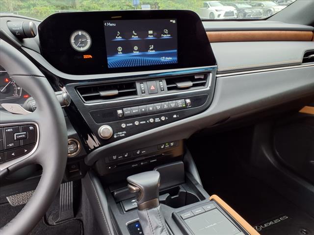 2022 Lexus ES 250 Premium