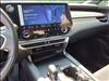 2023 Lexus RX 350 Rx 350 Premium Plus