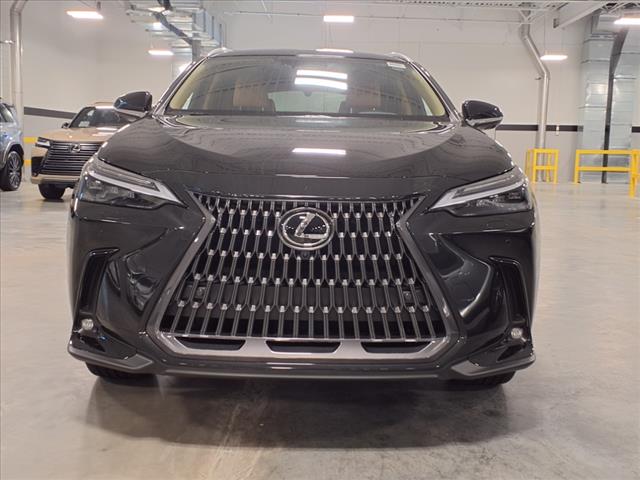 2025 Lexus NX 350 350 Luxury