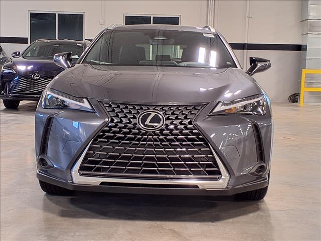 2025 Lexus UX 300h 