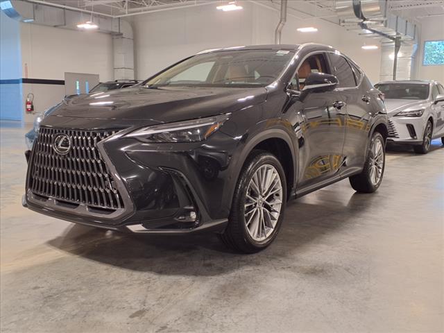 2025 Lexus NX 350 350 Luxury