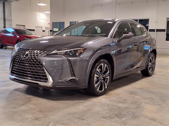 2025 Lexus UX 300h 