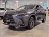 2025 Lexus NX 350 350 Base