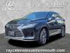 2022 Lexus RX 350 Premium Package