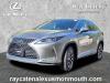 2022 Lexus RX 350 Premium Package