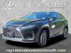 2022 Lexus RX 350 Navigation