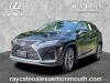 2022 Lexus RX 350 Premium With Panoramic Roof
